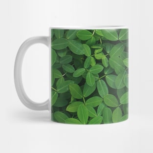 Green plant photo - minimalist art - nature photography Mug